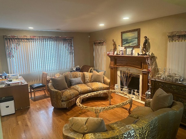 living room with hardwood / wood-style flooring