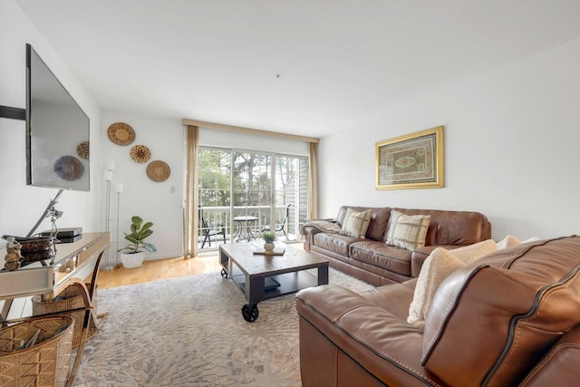 living room featuring light hardwood / wood-style flooring