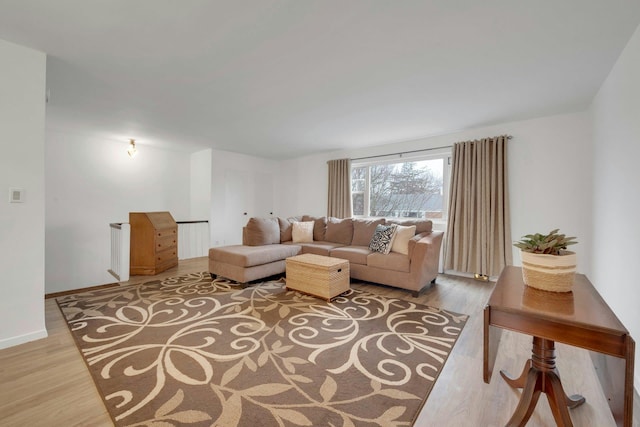 living room featuring wood-type flooring