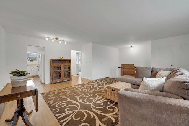 living room with light wood-type flooring