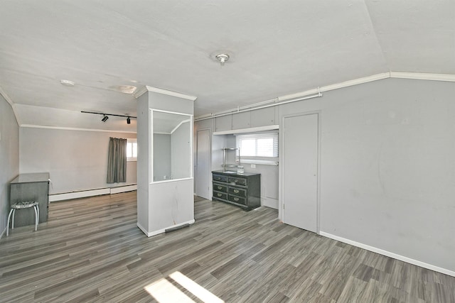 interior space featuring lofted ceiling, dark wood-type flooring, a baseboard radiator, and crown molding