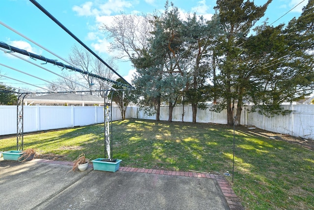 view of yard featuring a patio area