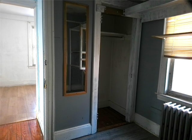 hallway featuring dark wood-type flooring and radiator heating unit