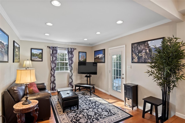 living room featuring crown molding and light hardwood / wood-style flooring