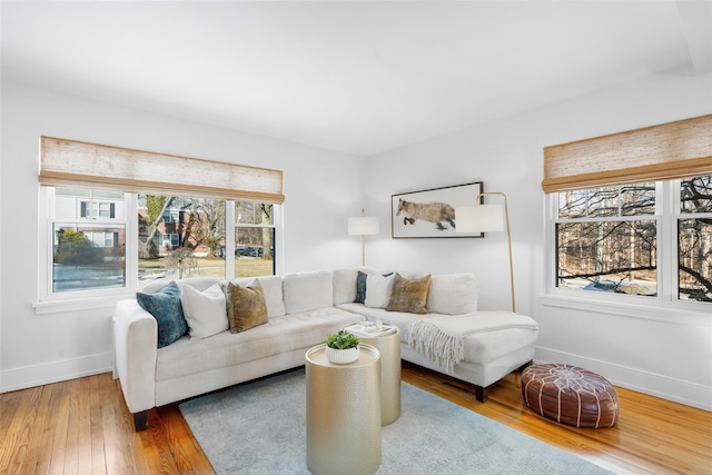 living room featuring hardwood / wood-style floors