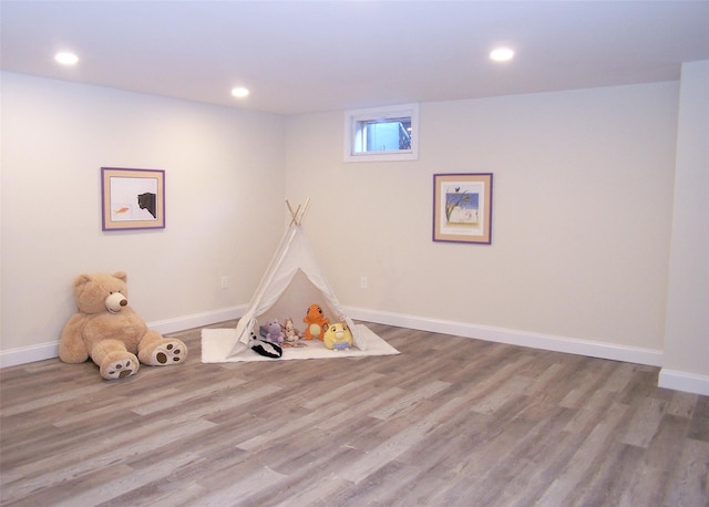 playroom with wood-type flooring