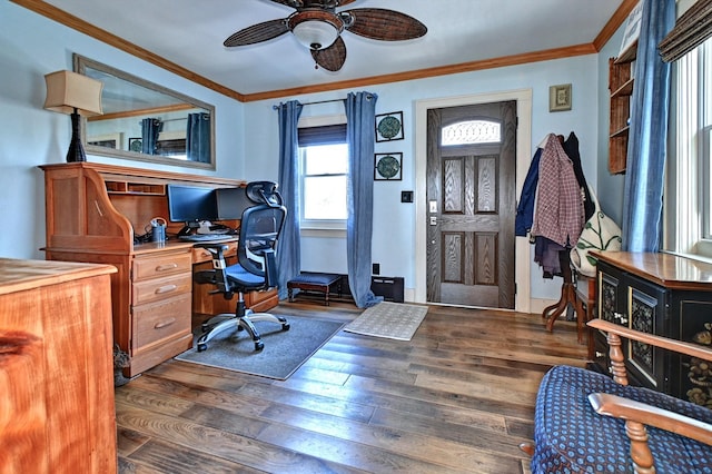 office space featuring ornamental molding, dark hardwood / wood-style floors, and ceiling fan