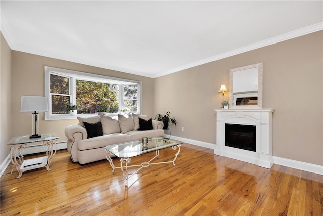 living room featuring ornamental molding and light wood-type flooring