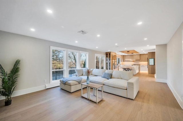 living room featuring light hardwood / wood-style flooring