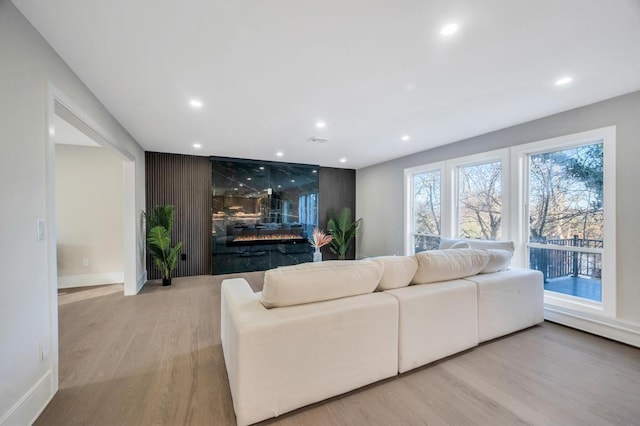 living room with a fireplace and light hardwood / wood-style flooring