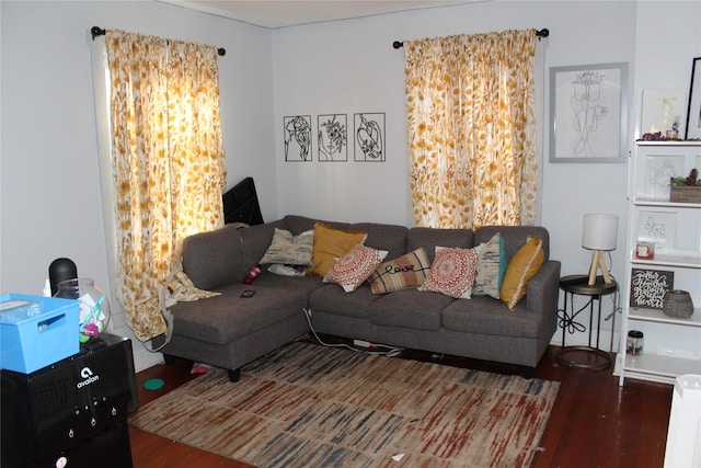 living room with dark hardwood / wood-style flooring