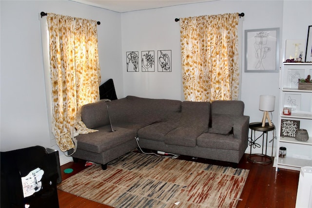 living room with dark wood-type flooring