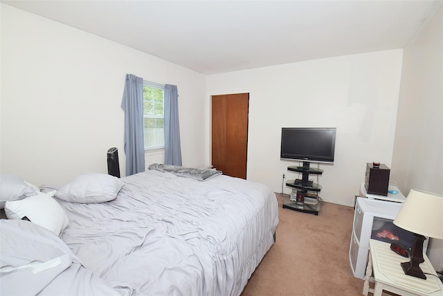 101 Bishop Rd, West Babylon, NY 11704 - bedroom with light carpet