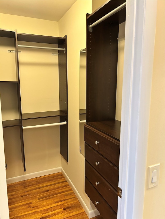 spacious closet with light wood-type flooring