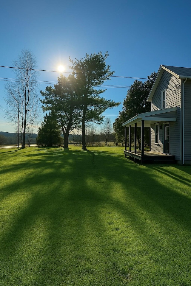291 Clements Rd, Liberty, NY 12754 - view of yard