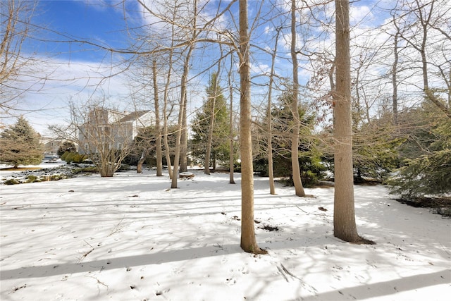 view of yard covered in snow