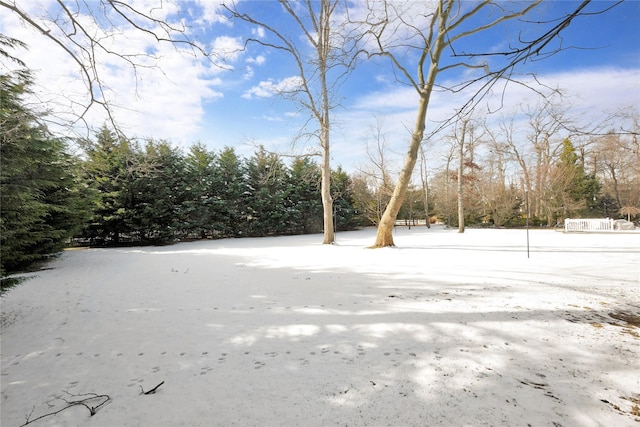 view of yard covered in snow