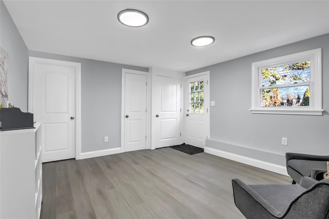 sitting room with wood-type flooring