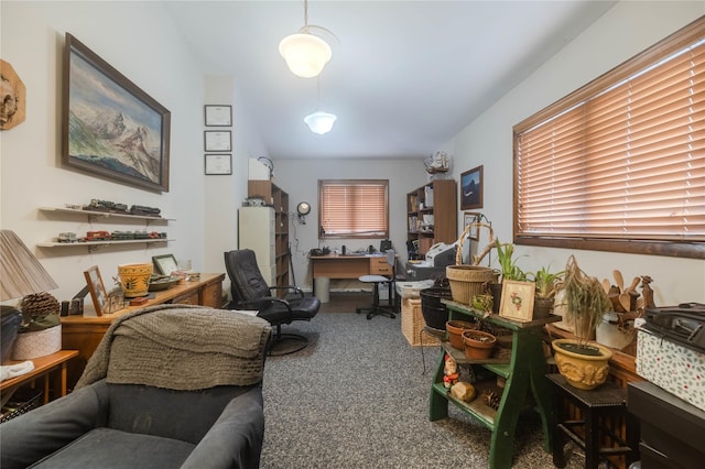 home office featuring carpet flooring