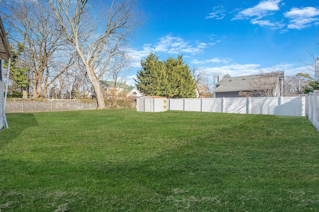 view of yard with a storage shed