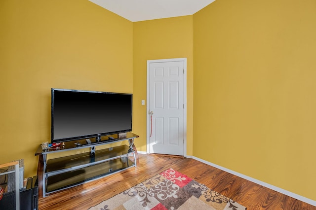 living room featuring wood-type flooring