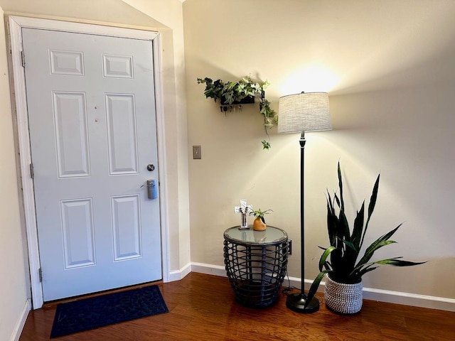 entryway featuring dark wood-type flooring