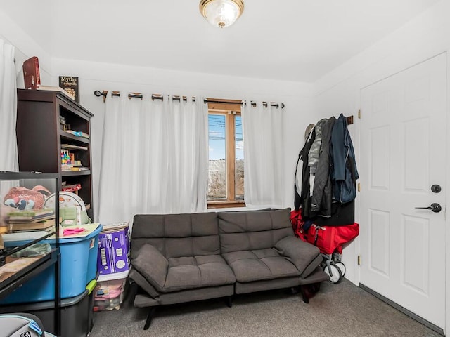 living room with carpet floors