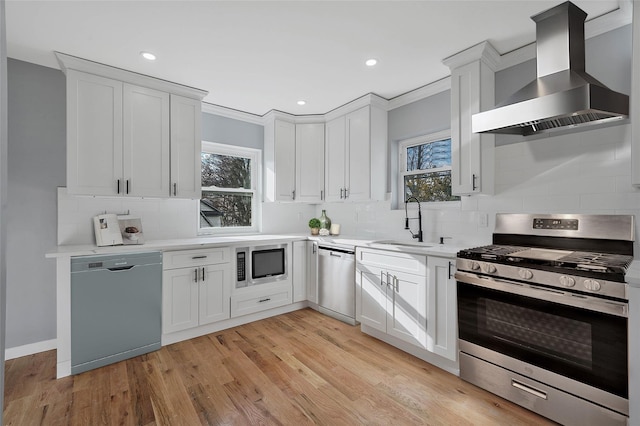 kitchen with white cabinetry, ventilation hood, and stainless steel appliances