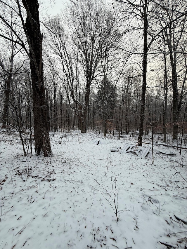 view of snow covered land