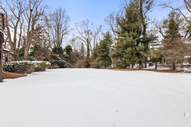 view of snowy yard