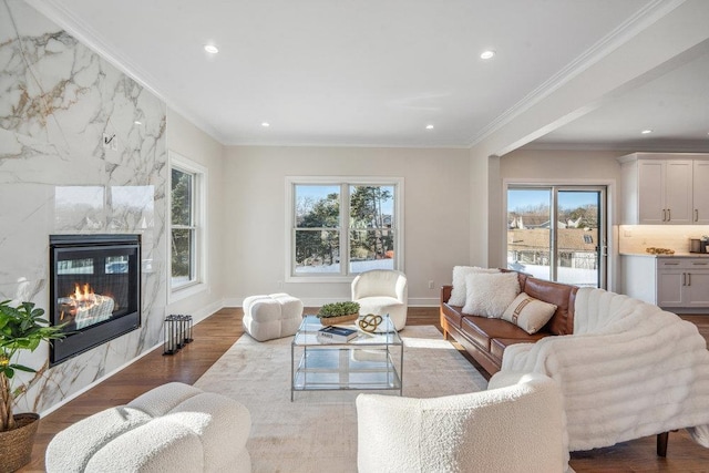 living room with a premium fireplace, crown molding, plenty of natural light, and hardwood / wood-style floors