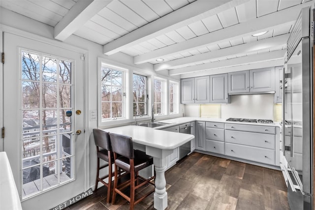 kitchen with gray cabinets, light countertops, and a sink