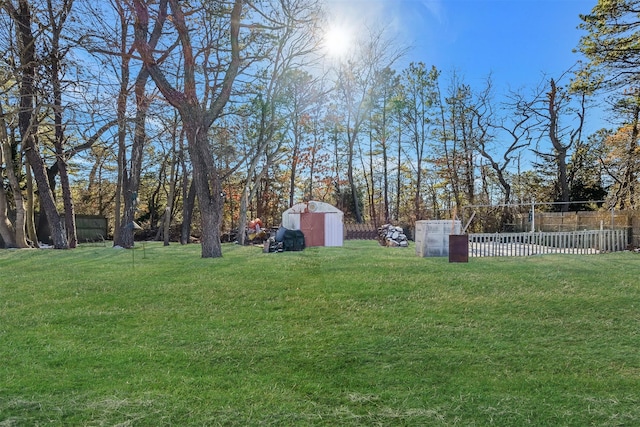 view of yard with a storage unit