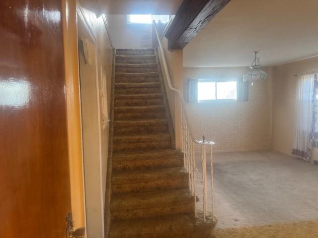 stairs with carpet floors