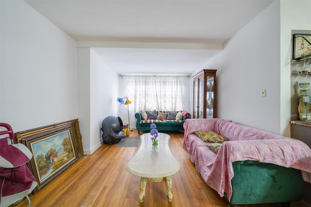 living room with wood-type flooring