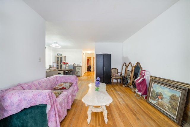 living room with light wood-type flooring