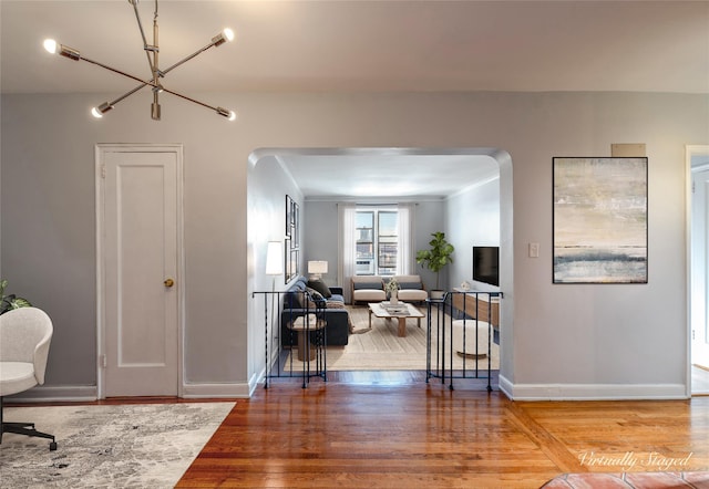 foyer with wood-type flooring