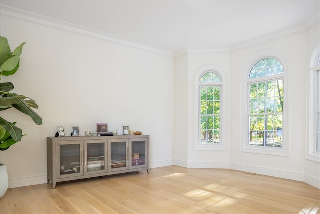 interior space with crown molding and light wood-type flooring