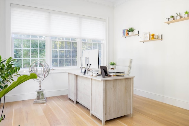 office space with crown molding and light hardwood / wood-style floors