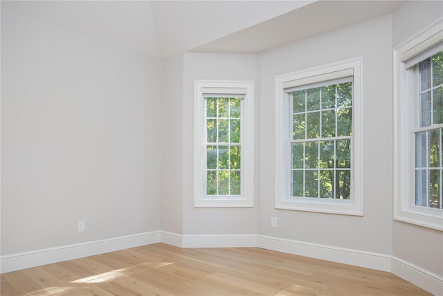 empty room featuring plenty of natural light and light hardwood / wood-style floors