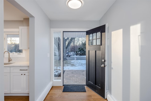 entrance foyer with sink and light wood-type flooring