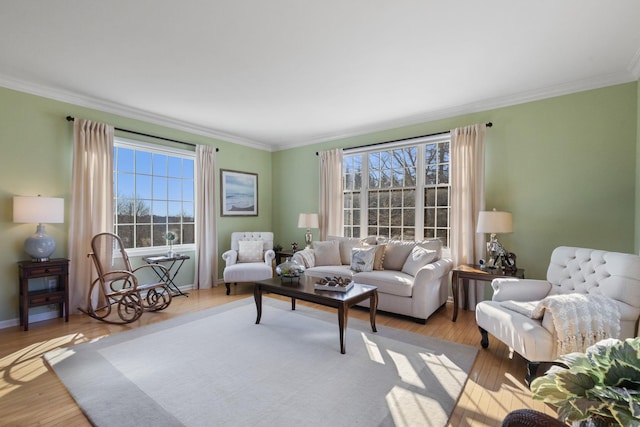 living room featuring crown molding and light hardwood / wood-style floors