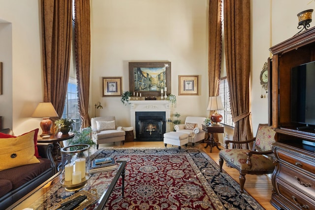 living area with hardwood / wood-style floors and a high ceiling