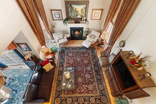 living room featuring hardwood / wood-style floors