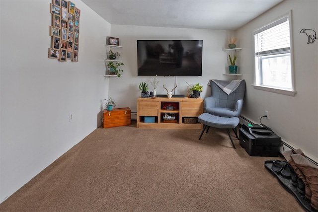 living area with carpet floors