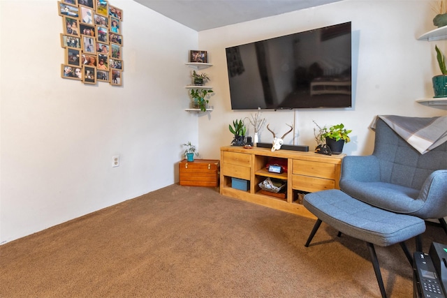 living area with carpet