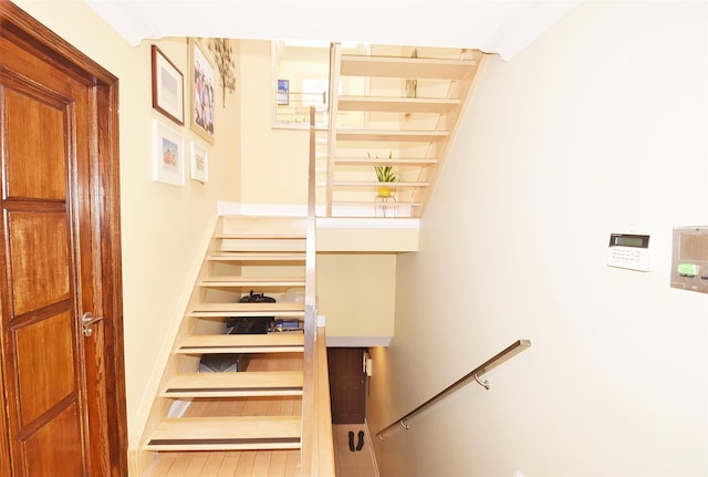 staircase with ornamental molding