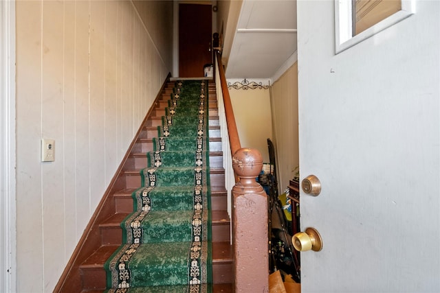 stairs featuring wood walls