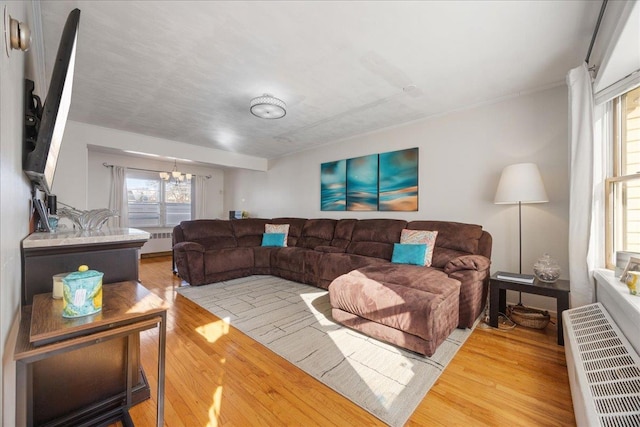 living room with a notable chandelier, radiator heating unit, and light wood-type flooring