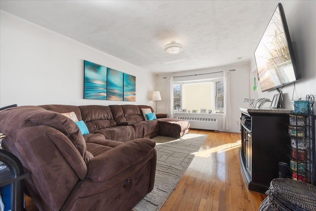 living room featuring radiator and light hardwood / wood-style flooring